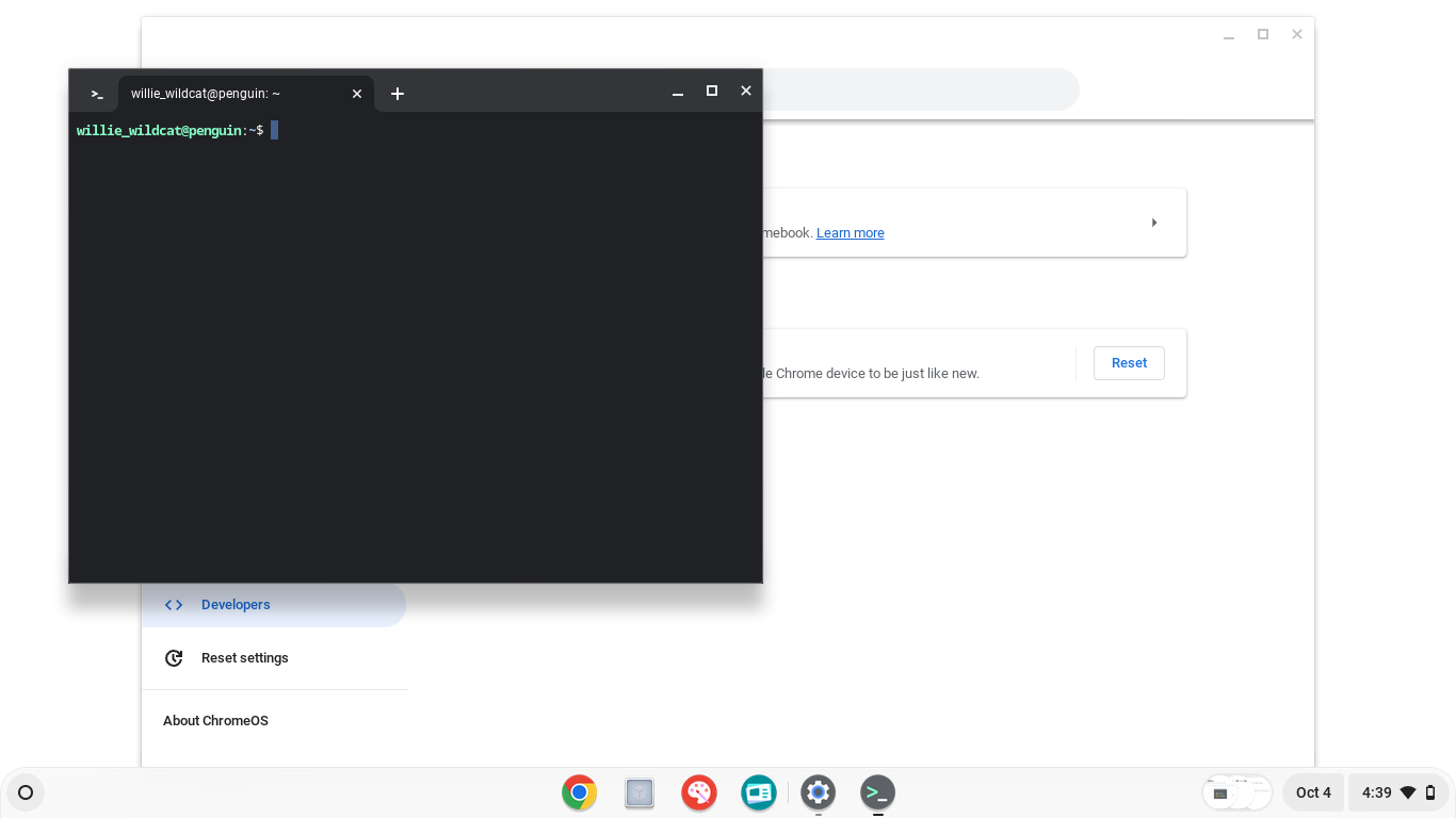 Screenshot of Chromebook settings